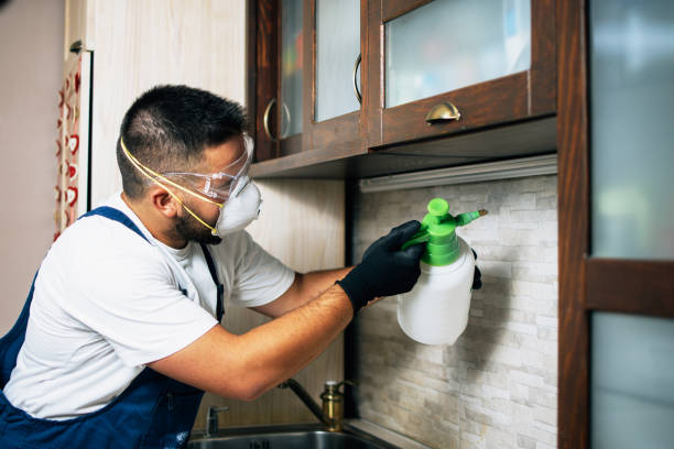 Best Pest Removal Services  in Oriole Beach, FL