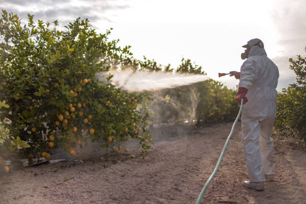 Best Best Pest Control Companies  in Oriole Beach, FL